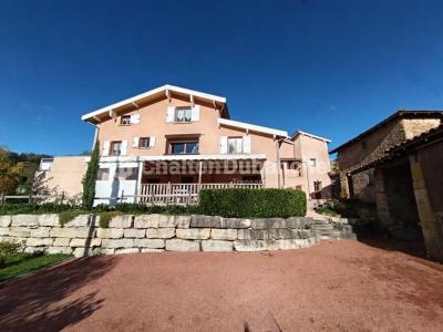 Vente Commerce ARBRESLE 69210