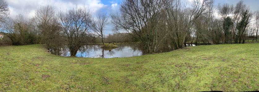 Vente Terrain POUZAUGES 85700