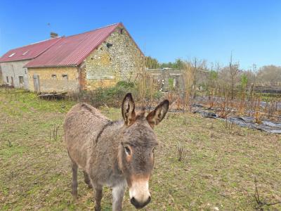 Vente Maison 7 pi�ces SAINTE-SCOLASSE-SUR-SARTHE 61170