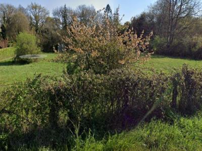 Vente Terrain MONTUSSAN 33450