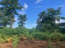 Vente Terrain Salles 33