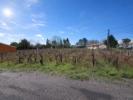 Annonce Vente Terrain Listrac-medoc