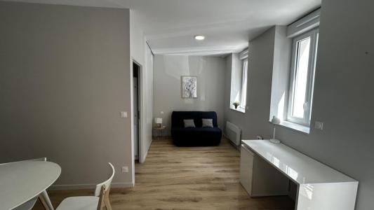 Location Appartement ROANNE 