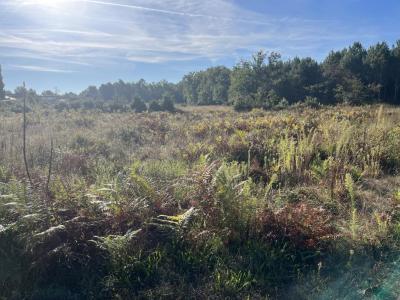 Vente Terrain ARSAC 33460