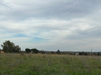 Vente Terrain GALGON 33133