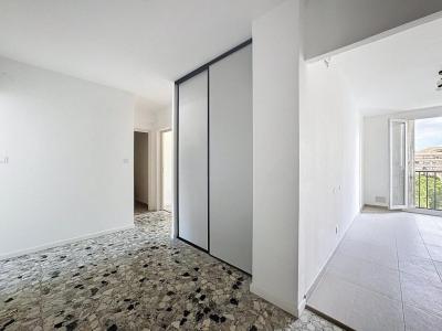 Location Appartement AJACCIO 