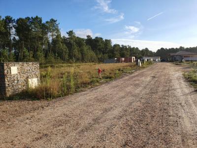 Vente Terrain HOURTIN 33990