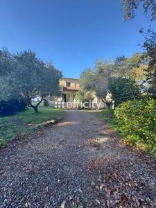 Vente Maison 5 pièces SORBO-OCAGNANO 20213