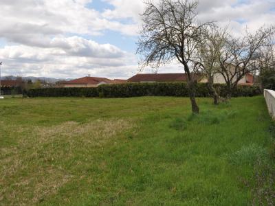 Vente Terrain MONTMERLE-SUR-SAONE 01090