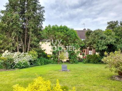 For sale House AILLANT-SUR-THOLON VALRAVILLON