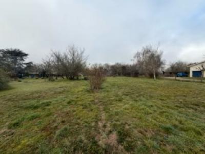 Vente Terrain SAINT-GERMAIN-DU-PUCH 33750
