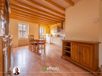 Vente Appartement MONTROTTIER  69