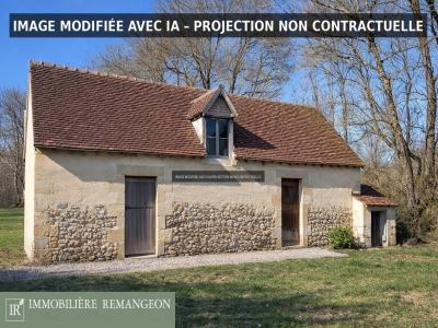 For sale House VIERZON 