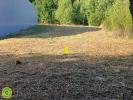 Annonce Vente Terrain Neris-les-bains