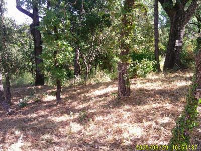 For sale Land MAYONS  83