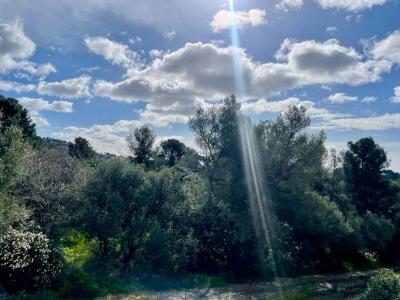 Vente Appartement 2 pi�ces TOULON 83200