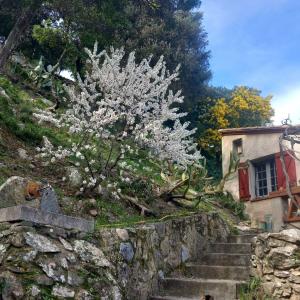Vente Maison 5 pièces CERET 66400