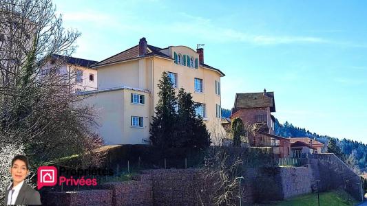 Vente Maison 14 pièces BOURG-DE-THIZY 69240