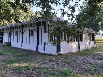 Vente Maison 5 pi�ces SOUSTONS 40140