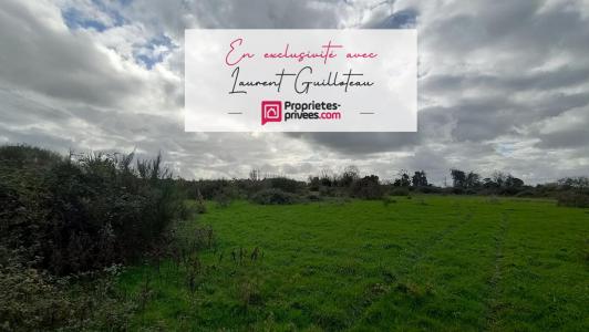 For sale Land CHAMBRETAUD  85