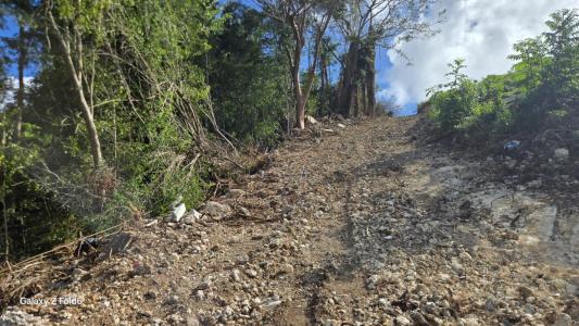 Vente Terrain GOSIER 97190