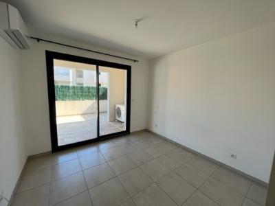 Location Appartement CALVI 