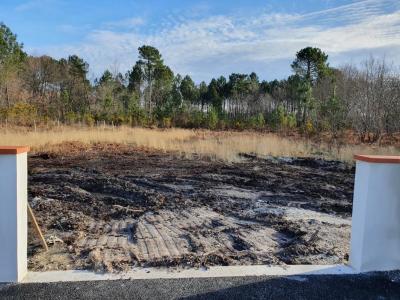 Vente Terrain CASTELNAU-DE-MEDOC  33
