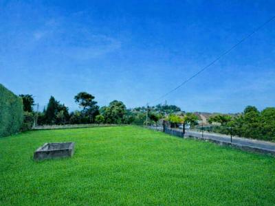 Vente Terrain REILLANNE 04110