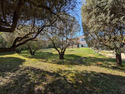 Vente Maison 5 pi�ces TOUR-D'AIGUES 84240