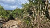 Acheter Terrain 3000 m2 Gosier