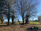 Annonce Vente Terrain Chamberet