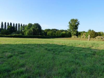 Vente Terrain CANTENAC 33460