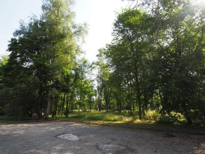 Vente Appartement SERMAMAGNY 