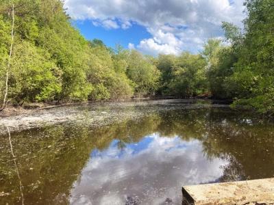 For sale Land DUSSAC  24