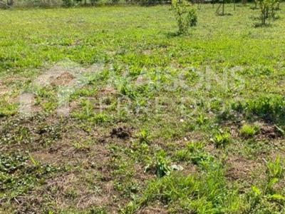 Vente Terrain MARSSAC-SUR-TARN 81150