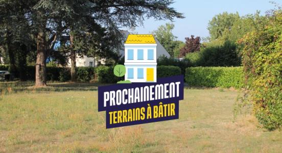 Vente Terrain ECOUFLANT 49000
