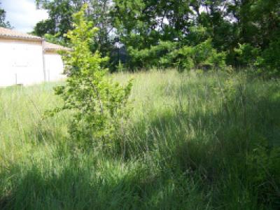 Vente Terrain LUSSAN 30580