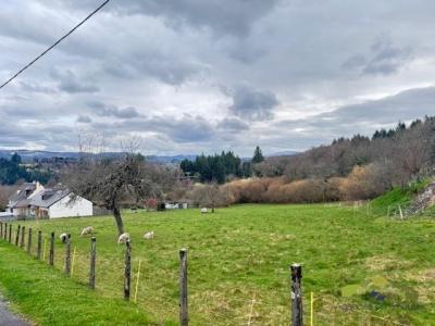 Vente Terrain TREIGNAC 19260