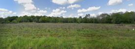 For sale Land Lignan-de-bordeaux  33360 600 m2