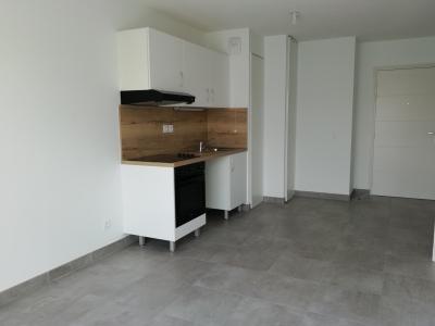 Location Appartement 2 pi�ces VERNAISON 69390