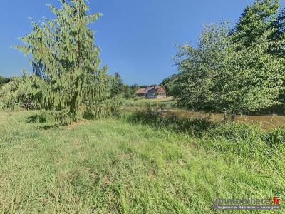 Vente Maison NAYEMONT-LES-FOSSES 