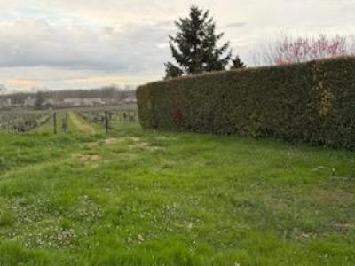 For sale House CAMBLANES-ET-MEYNAC