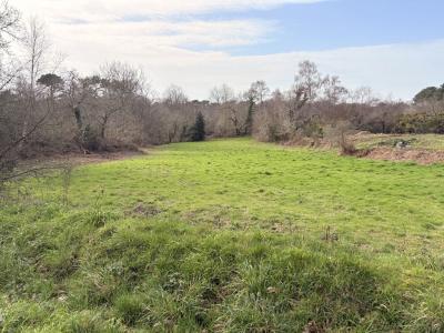 Vente Terrain PERROS-GUIREC 22700
