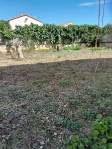Vente Terrain FRONTIGNAN 34110