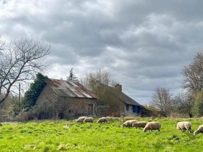 For sale House PEYRISSAC 