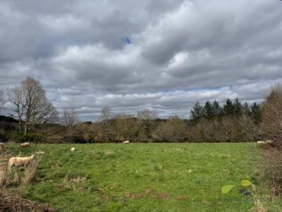 For sale House PEYRISSAC 