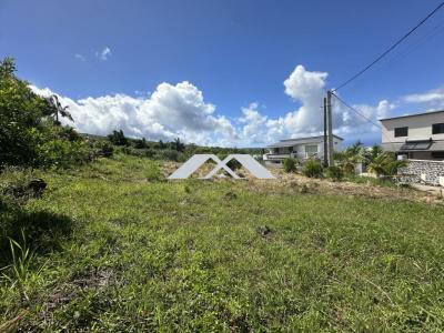 Vente Terrain SAINT-JOSEPH 97480