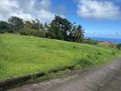 Annonce Vente Terrain Basse-pointe