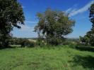Vente Terrain Caro  56140 800 m2