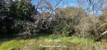 Vente Terrain Montelimar 26